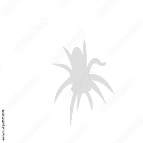 Spider siluet illustration