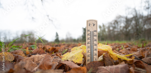 Fototapeta Naklejka Na Ścianę i Meble -  Thermometer with autumn foliage, fall season, measure the temperature, weather forecast, cold rainy day