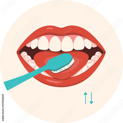Brushing Teeth Instruction step 6


