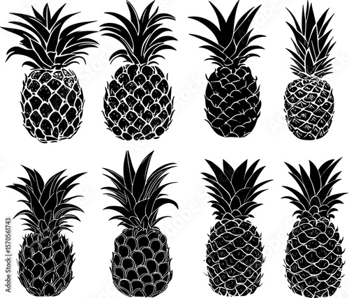Pineapple. Half and slices. Silhouettes collections