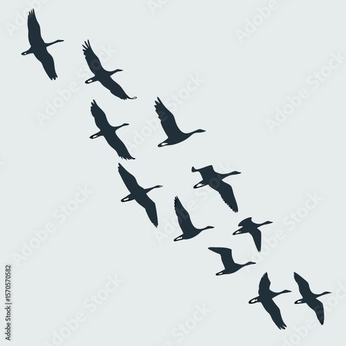 A flock of dark silhouette geese flying in formation across a pale grey background with their wings spread wide in a graceful migratory pattern