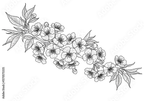 Detailed blossom branch line art elegant floral illustration