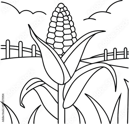 Ripe corn stalk with leaves and fence under clouds kernels farm