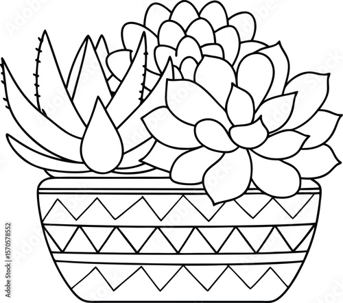 Potted succulent plants with geometric patterned pot vector