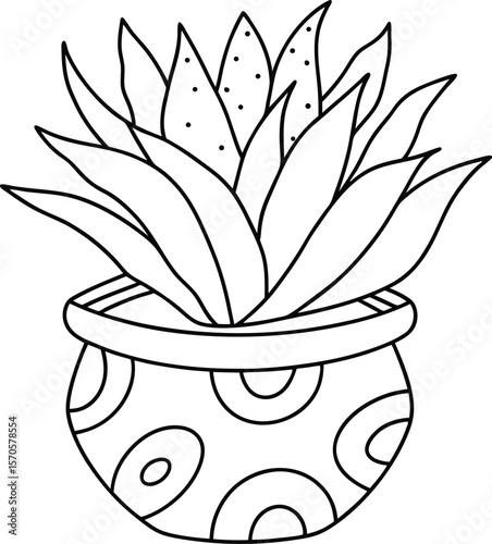 Potted succulent plant with patterned pot green