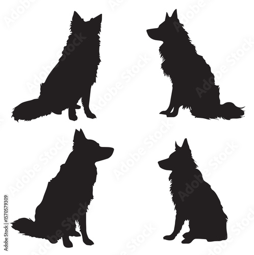 border collie dog silhouette set, Black & White silhouette set