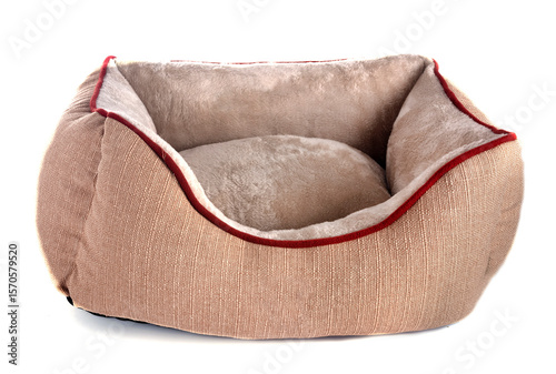 cushion for dog