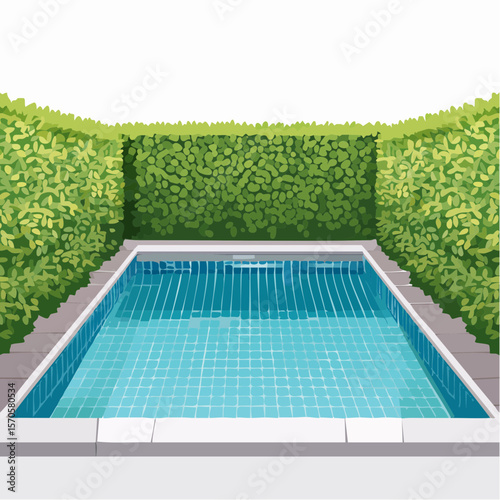 swimming pool in garden, surrounded by tall green hedge
