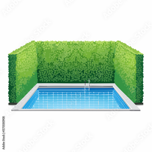 swimming pool in garden, surrounded by tall green hedge