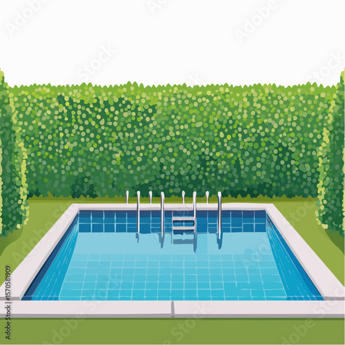 swimming pool in garden, surrounded by tall green hedge
