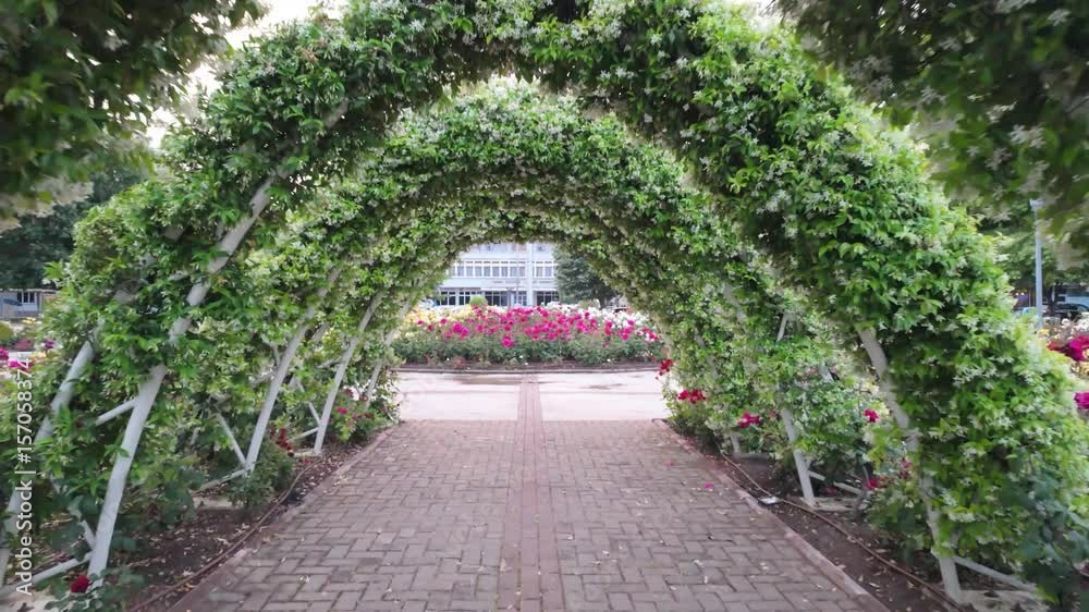 Rose garden of Pogradec, Albania. - June 12, 2025. One of the most relaxing places in the city surrounded by beautiful red rose just beside the theatre. Rose garden of Pogradec, Albania. - June 12, 2025. One of the most relaxing places in the city surrounded by beautiful red rose just beside the theatre.