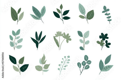 Watercolor Botanical Leaf and Plant  Set