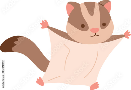 Cute Sugar glider nocturnal animal


