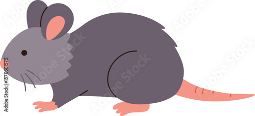 Cute Mouse nocturnal animal

