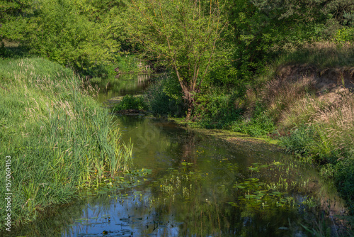 Small river Grabia in central Poland.