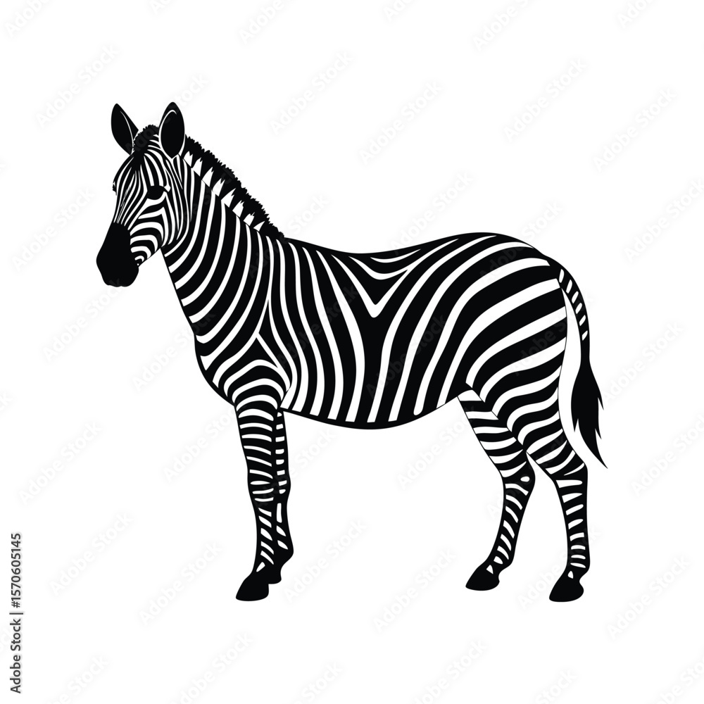 Obraz premium zebra vector illustration