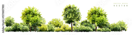 Vertor set of green tree,plants side view for landscape elevations,element for backdrop,eco environment concept design,watercolor greenery scene,forest 