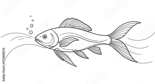 vector illustration of a fish - line art