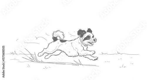Line Art of a Dog Running isolated white background
