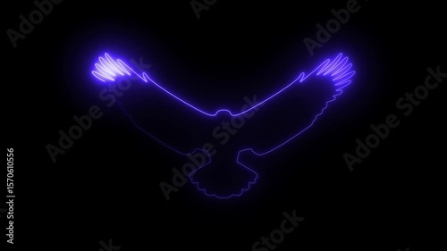 Neon eagle flight graphic black background. 4k video 
