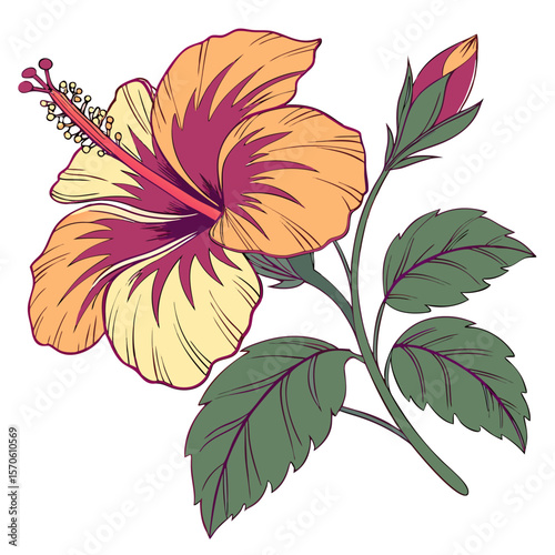 hibiscus flower, tropical botanical illustration, detailed botanical drawing, vibrant colors, large petals, lush foliage, realistic style, high resolution, digital art
