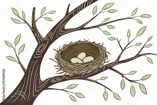Birds Nest in Tree Fork – Vector