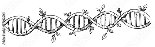 dna strand with leaves line art