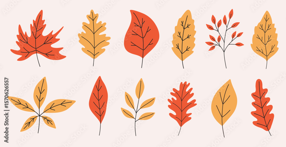 Fototapeta premium Set of hand draw colorful autumn leaves collection.