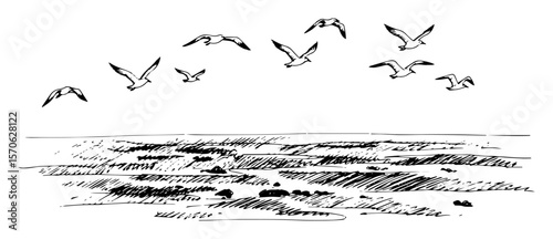 seabirds flying over polluted ocean line art