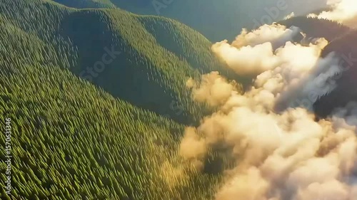 Aerial view of the blue lake and forest under a vast summer sky with white cumulus clouds