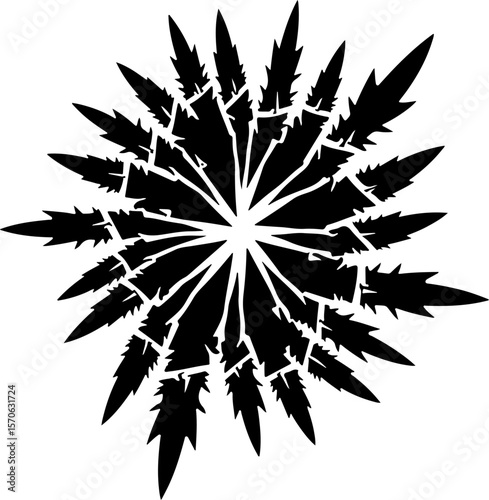 Abstract Starburst Explosion Silhouette vector