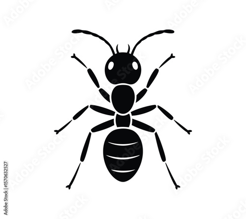 Isolated Black Ant Icons for Web and Print On White Background