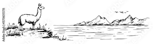 llama by mountain lake line art vector illustration