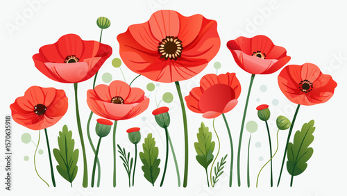 Vector illustration of a vibrant illustration of red poppies in full bloom, isolated on a white background