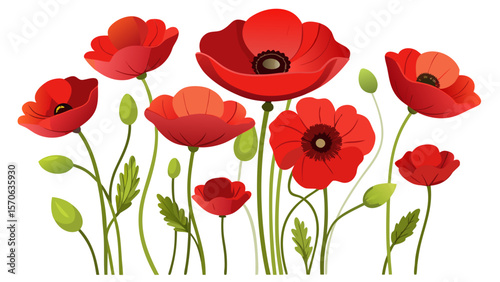 Vector illustration of a vibrant collection of red poppies in full bloom, isolated on a white background