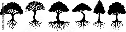 Tree of Life Silhouette Vector Set vector bundle