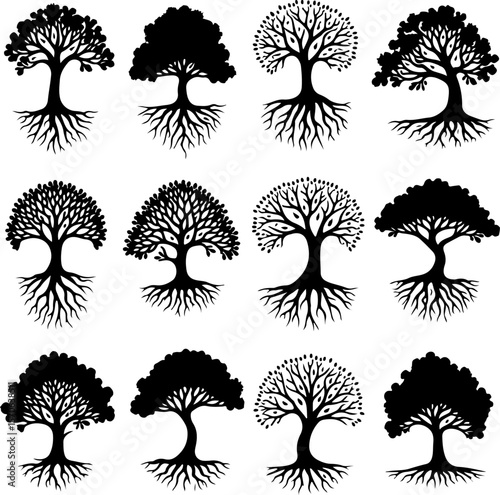 Tree of Life Silhouette Vector Set vector bundle