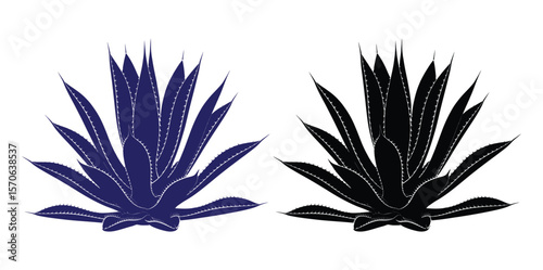 Vector art of two agave plants, one blue and one black, represent desert flora