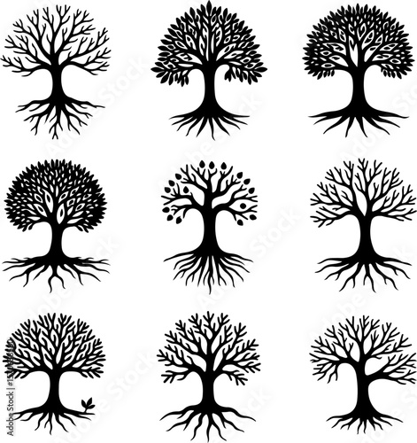 Tree of Life Silhouette Vector Set vector bundle