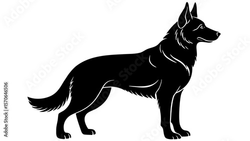 silhouette of a standing German Shepherd alert and proud