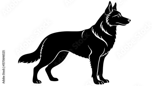 silhouette of a standing German Shepherd alert and proud