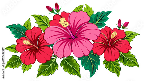 Vector illustration of hibiscus flowers arrangement isolated on white background