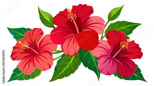 Vector illustration of three red hibiscus flowers with green leaves isolated on white background