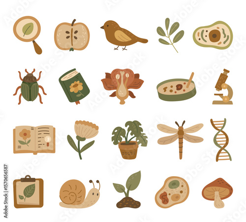 Biology object set in scandinavian style with insects, animals, plants, equipment, books, tools and microbiology for your educational illustration and creative designs projects