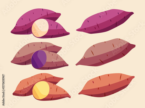 Illustration of three types of sweet potatoes
