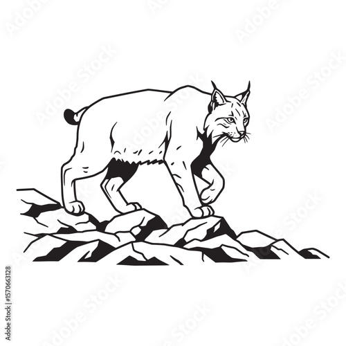 Vector illustration of a walking bobcat silhouette on a rocky mountain landscape