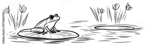 frog on a lily pad in a pond sketch vector