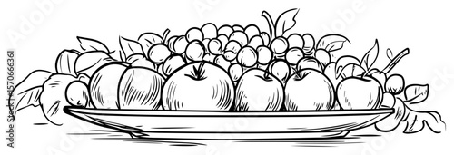 assorted fresh fruits platter line art vector illustration