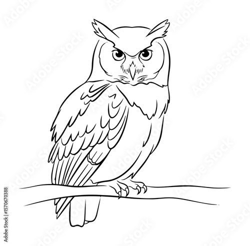 majestic owl perched outline vector illustration