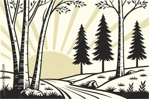 Sunset Rays in Birch Grove – Vector.